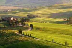 世界杯直播在哪里看？全网观看指南世界杯在哪看的